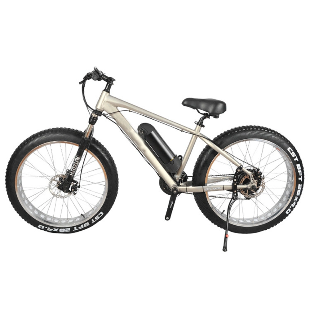 CE Certificate Cheap Carbon E Bike Electric Bike