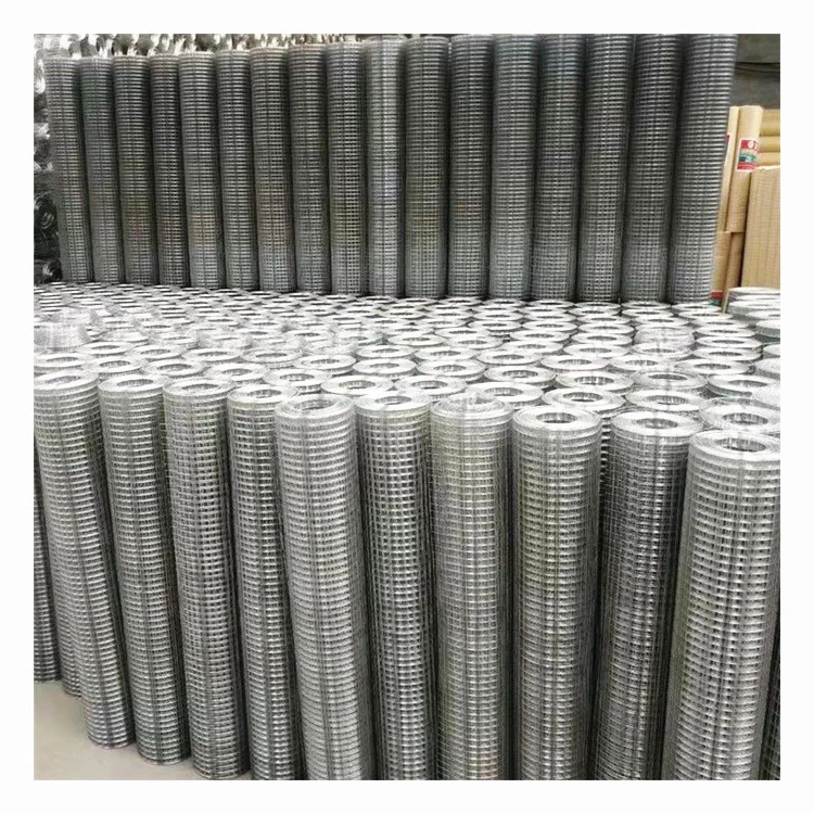 Galvanized Wire Mesh/Galvanized/Stainless Steel/PVC Coated Welded Wire Mesh