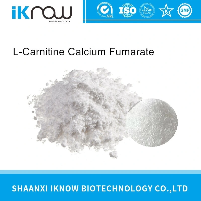 Nutritional Supplements L-Carnitine Calcium Fumarate 100% Food Grade Raw Material