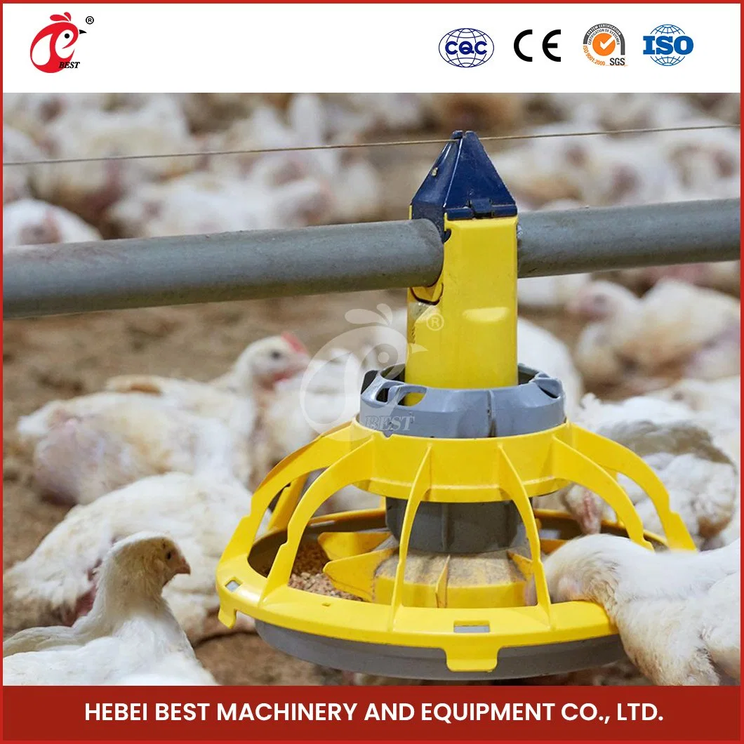 Bestchickencage Broiler Deep Litter System Sample Available China Easy Installation Feature Broiler Poultry Farming Deep Litter System Manufacturer