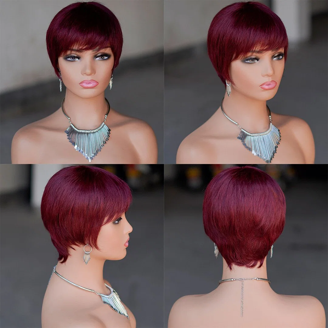 Pixie Wig Human Hair Short Straight Hair Full Mechanism Head