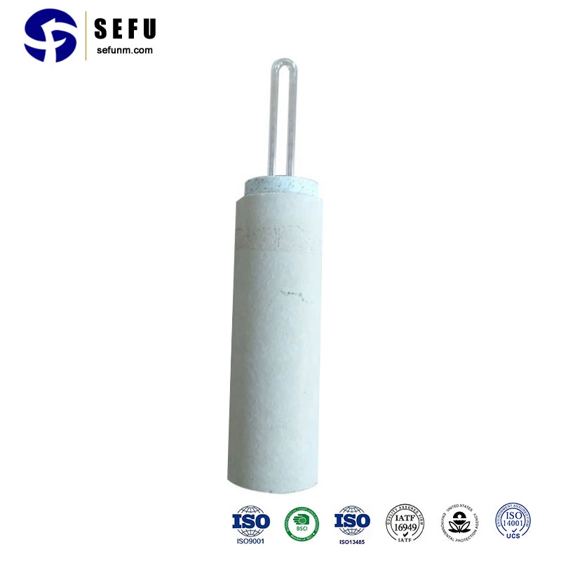 Sefu China Expendable Thermocouple Tip Manufacturing Fast Thermocouple Immersion Thermocouple Probes with Connection Head