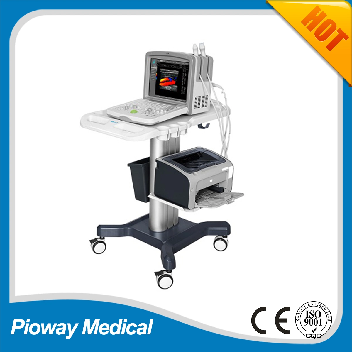 Scanner à ultrasons à Doppler couleur de base Fdc6000 Basic