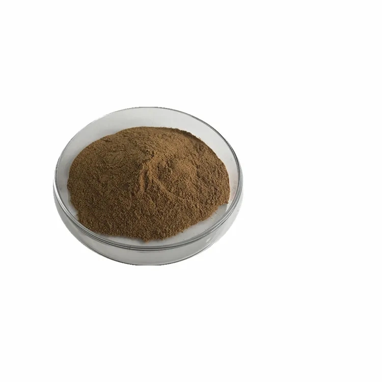 Hot Sale Natural Spine Date Seed Extract Powder Jujuba Jujubosides Semen Ziziphi Spinosae Extract