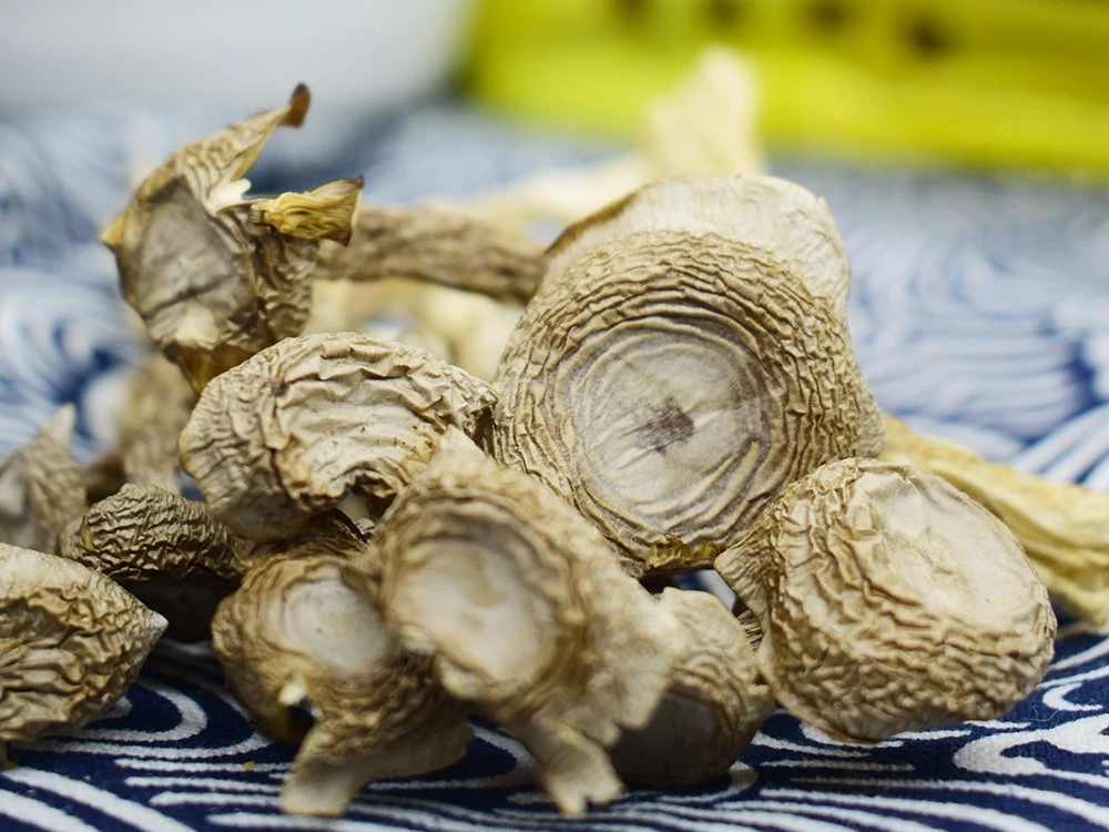 Secado de paquete de personalización de la Salud Alimentaria de setas Antler