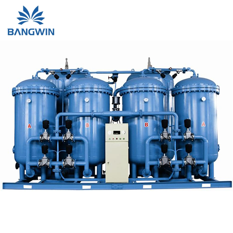 Bw Nitrogen Plant 3nm3/Hr Nitrogen Gas Generator for Food Preservation
