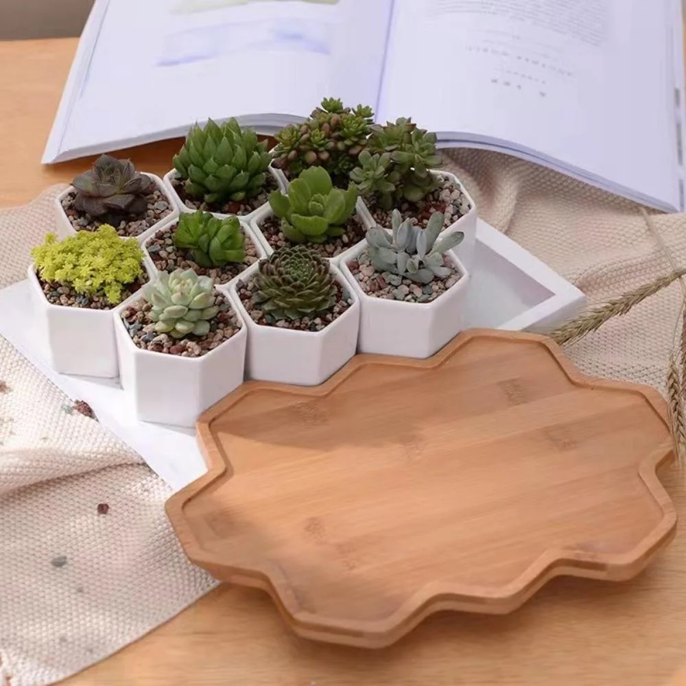 10 PCS Ceramic Small Hexagon Succulent Pot with Bamboo Tray Mini Assorted Wyz21946