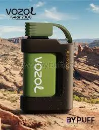 Ecig Wholesale/Supplier Popular Rechargeable Disposable/Chargeable Mesh Vape Pod Vozol Gear 5000 7000 10000 Puff Wepe vape