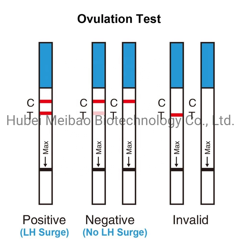Медицинские поставки домашнего использования левый овуляция тест