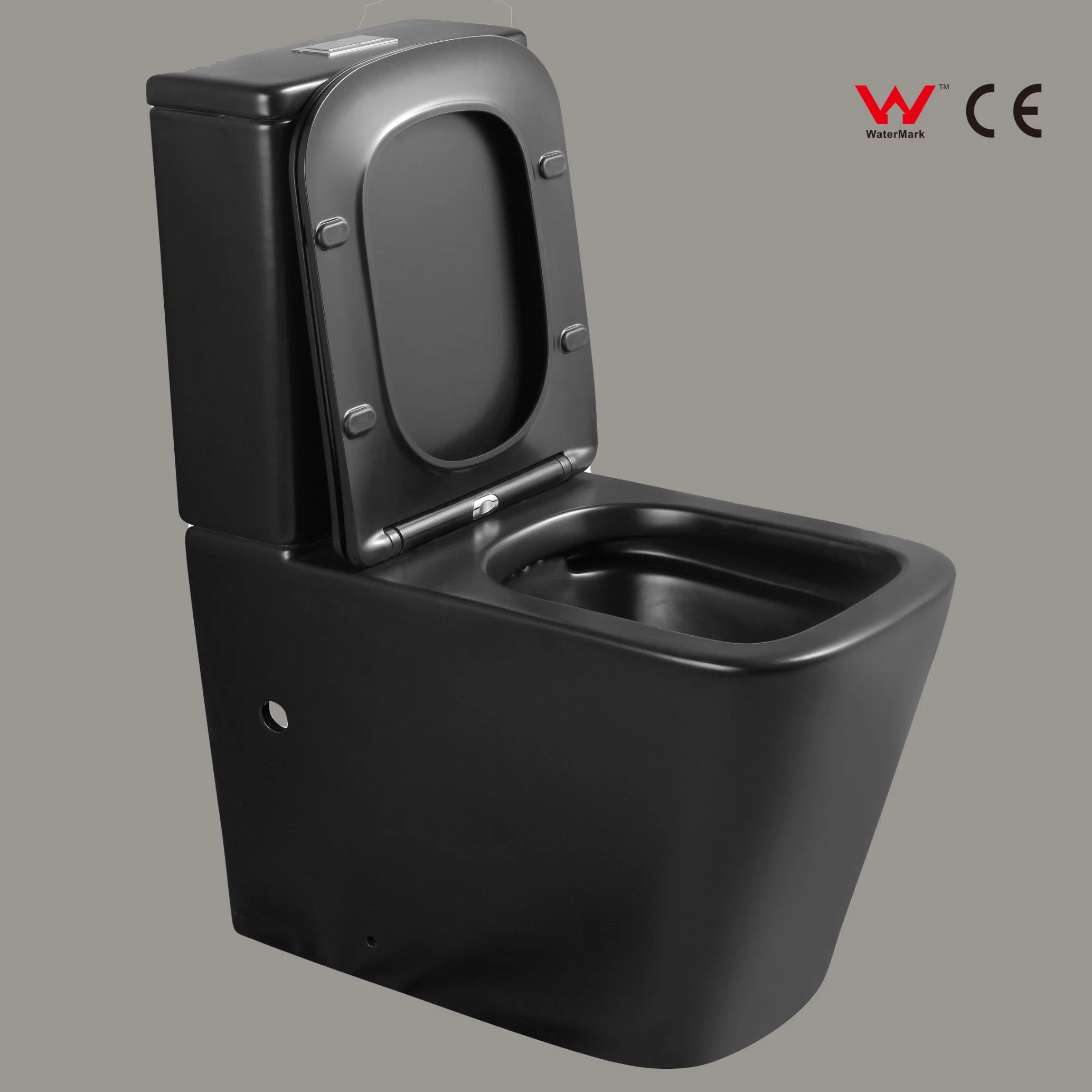 CE Watermark Two Piece Closestool Rimless Siphonic Matte Black Wc Bowl Toilet
