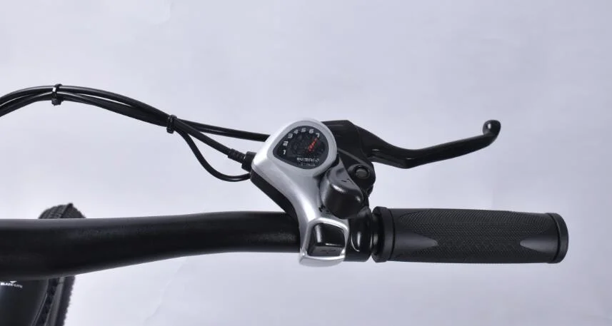 Motrolife/OEM Ce China 36V 250W E Bicycle