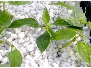 Growing Media Expanded Perlite for Hydroponics Grow Media Perlite