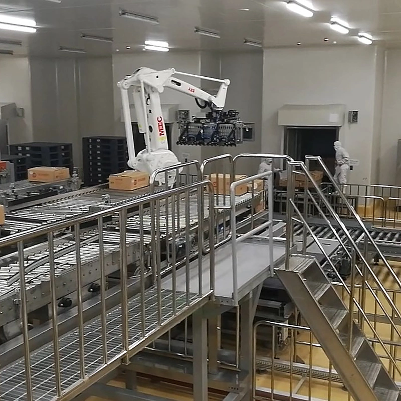 Robot Palletizer Equipment Automatic Palletizer Robot Robot Pallet Wrapping Machine for Case Box Carton Palletizing Machine Price