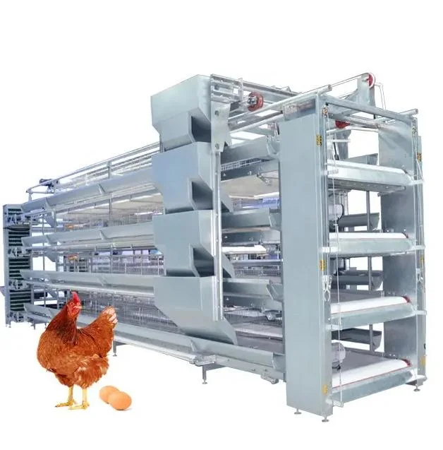 Hot Sale Galvanized Automatic H Type Chicken Cages Layer Poultry for Farming Equipment