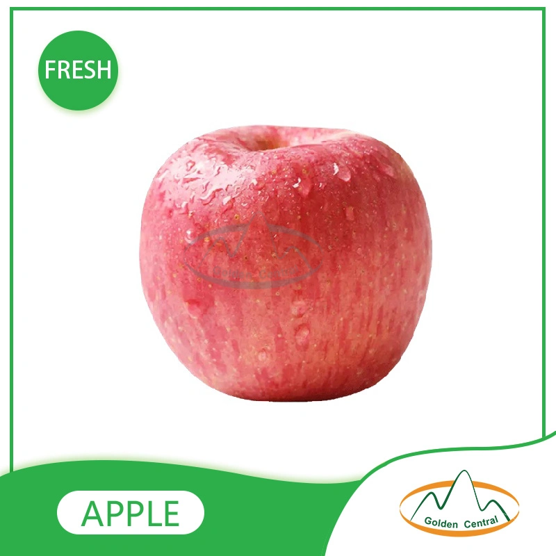 Red Delicious FUJI Apple Fresh Apple