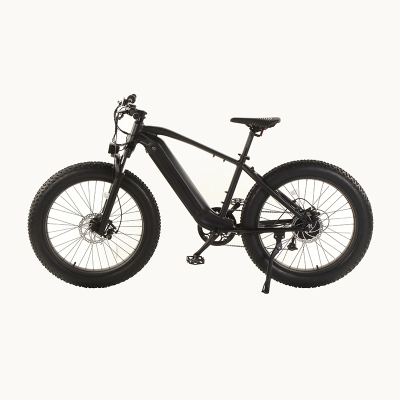 Amazon Top Selling 750W Powerful Fat Tire Electric Bike