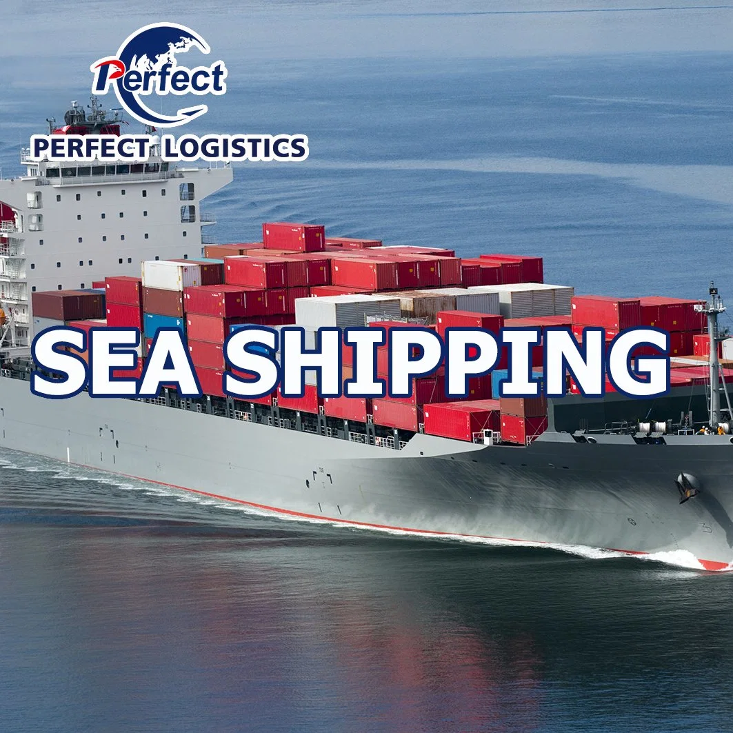 Freight Forwarder Sea Cargo Shipment Service From China to Netherlands