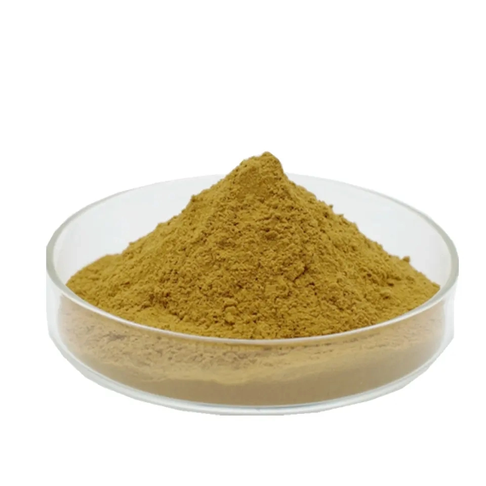 Extracto herbario de calidad Ginsenoside10%~80% Panax Ginseng Extracto raíz en Venta