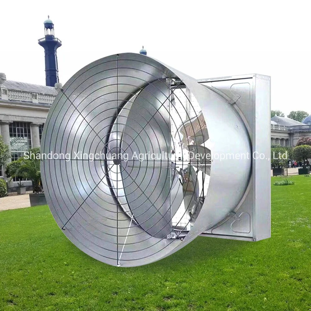 0,55kW 0,75kW 1,1kW ventilador de extracción Cono acero galvanizado para cerdo Granja