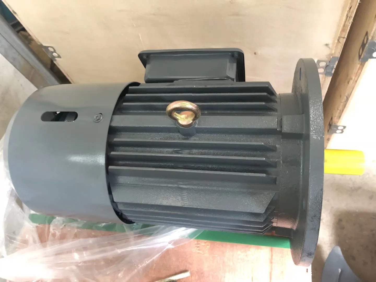 Fabrik Preis drei Phasen elektrische 380V 410V 220V Motor Bremse Motor