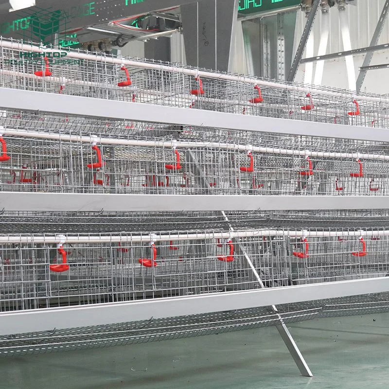 Hightop Cheap Quality Hot Galvanized Poultry Farm Layer Chicken Cage