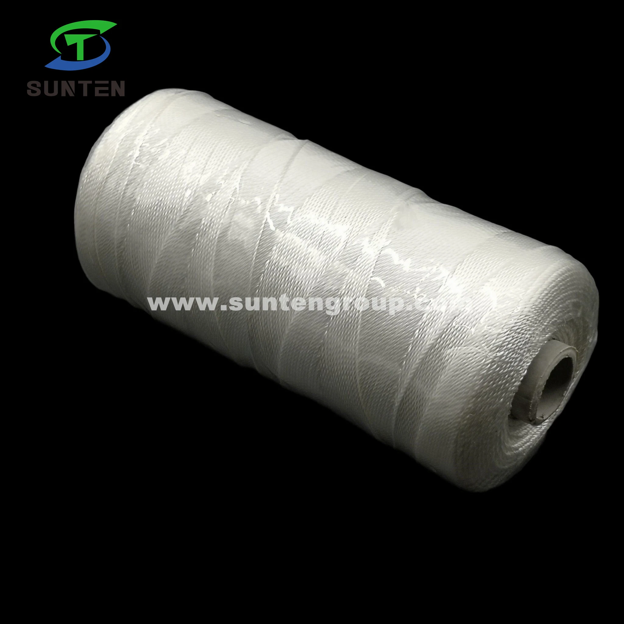 EU Standard High Tenacity White PE/PP/Polyester/Nylon/ Plastic Twisted/Braided/Baler/Thread/Packing Line/Fishing Net String (210D/380D)