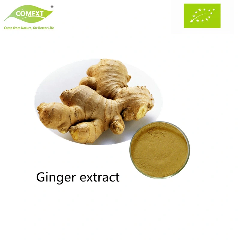 Comext Factory High quality/High cost performance  100% Natural Health Product Ginger Extract Ginger Root Extract