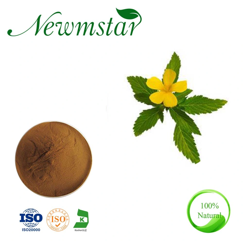 High Quality Damiana Leaf Extract 4: 1, 10: 1 Turnera Diffusa Extract