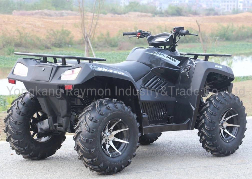 Raymon 4WD 4*4 High Quality Best Sale Adults Petrol Power Motorcycle ATV