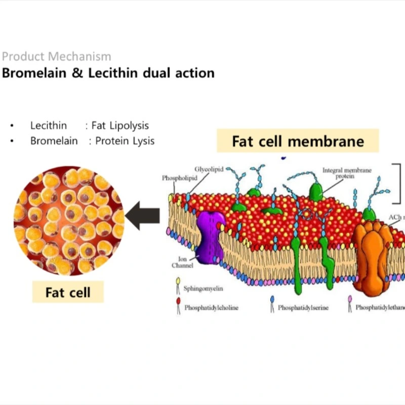 Japón Melsmon la placenta humana 2ml x 50 para la piel y antienvejecimiento rejuvenecimiento