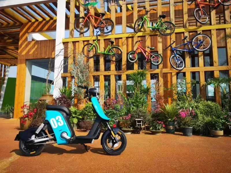 Two-Wheel 2 Wheel Stand up Light Weight Two Seat 97 Km Per Hour Wuxi Saichi Vehicle Industry Adult Three-Wheel Longjia Tricycles Telefonica Electric Motorcycle