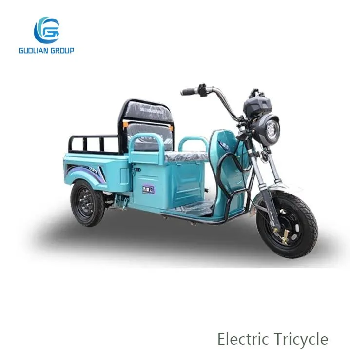 Factory Sale 48V500W Motor Electric Passenger Tricycle Cargo Trike with Three Wheels