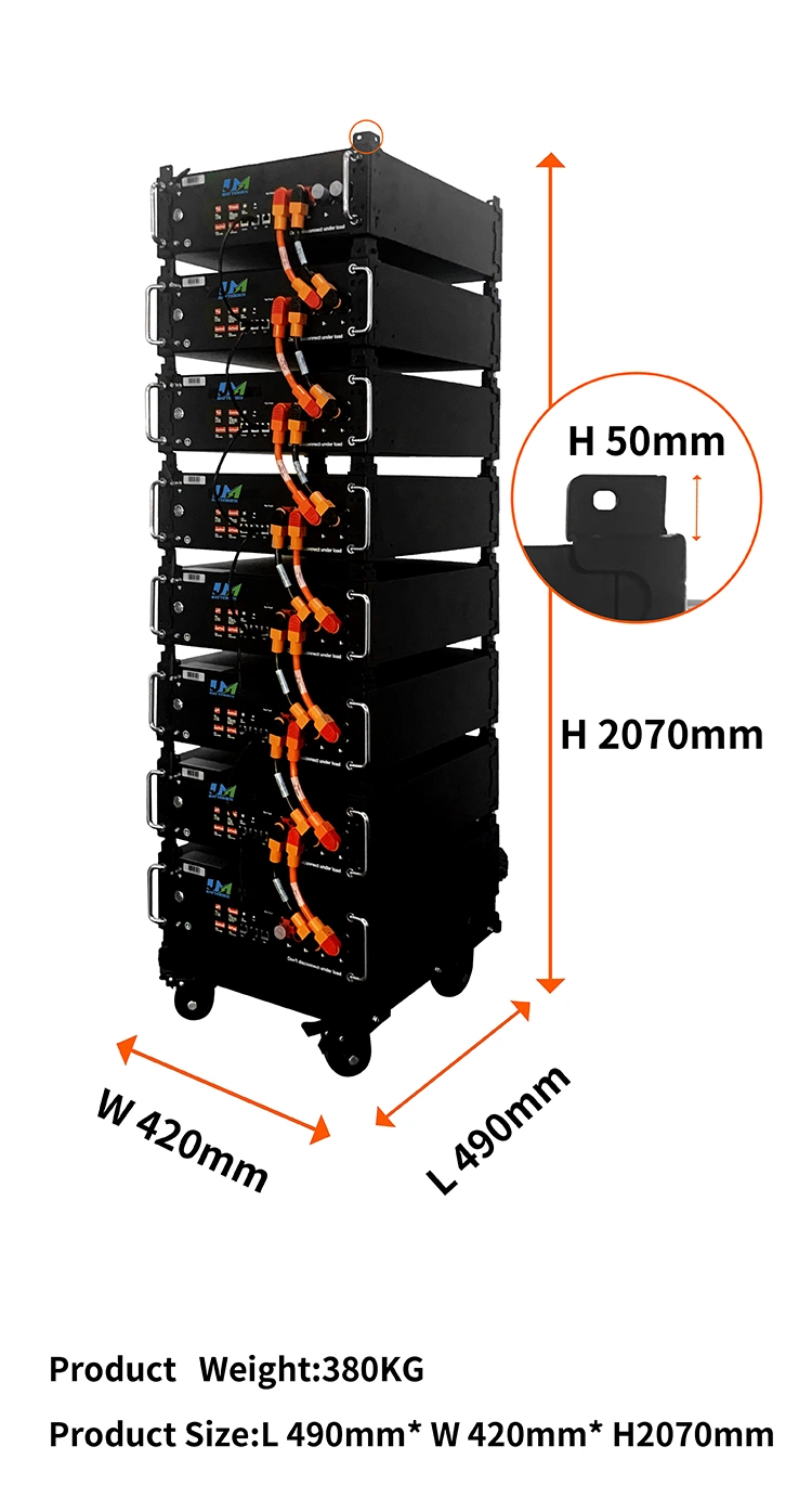 LiFePO4 Lithium Iron Phosphate Battery 100ah Rack Mounted 48volt Cabinet OEM Pack Lithium-Ion Ion Battery