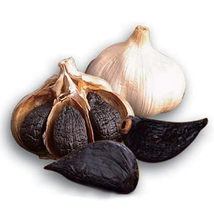 Chinese Organic Black Garlic for Soup /Bread /Good for Health