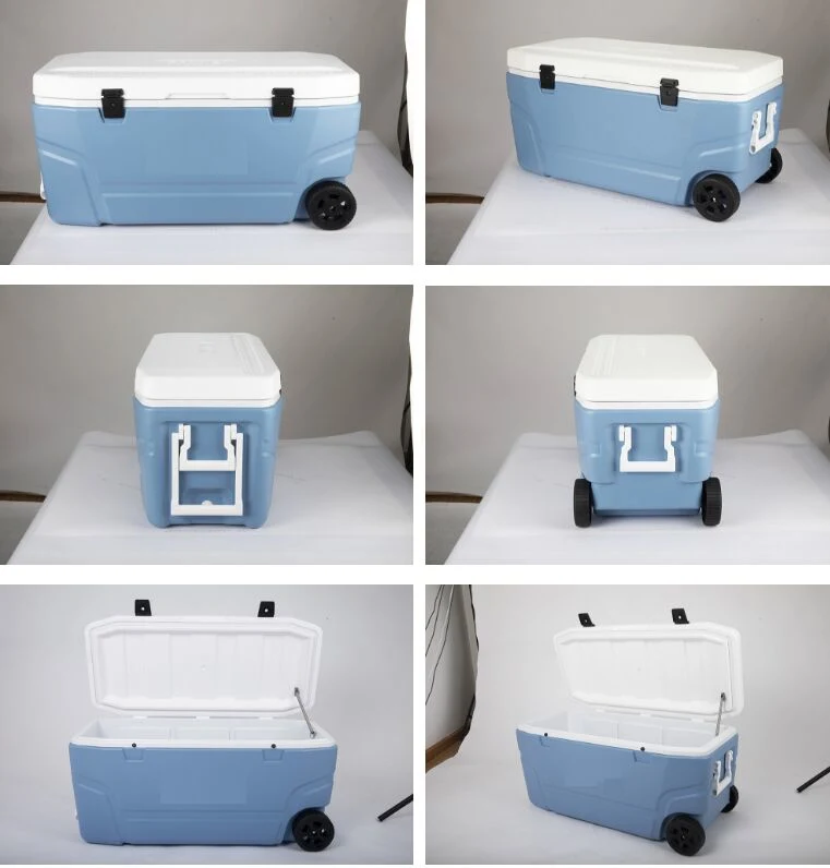 Hochey Medical Equipment Portable Vaccine Transport Freezer PU Material Carrier Cold Box