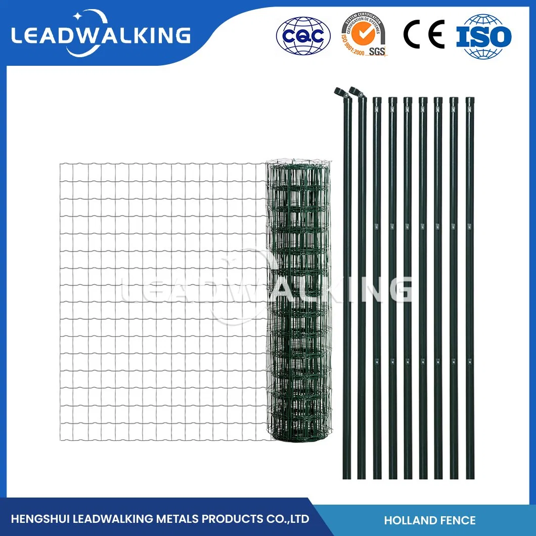 Muestra de fábrica de malla de alambre recubierta de PVC soldada en Leadwalking disponible 3mm Paneles de malla de alambre soldado recubiertos de PVC China 3,0mm grosor del alambre Nederlands Net