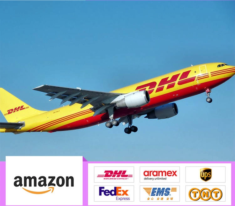 Транспортные компании DHL Express из Китая для быстрого обслуживания DHL экспедирование грузов