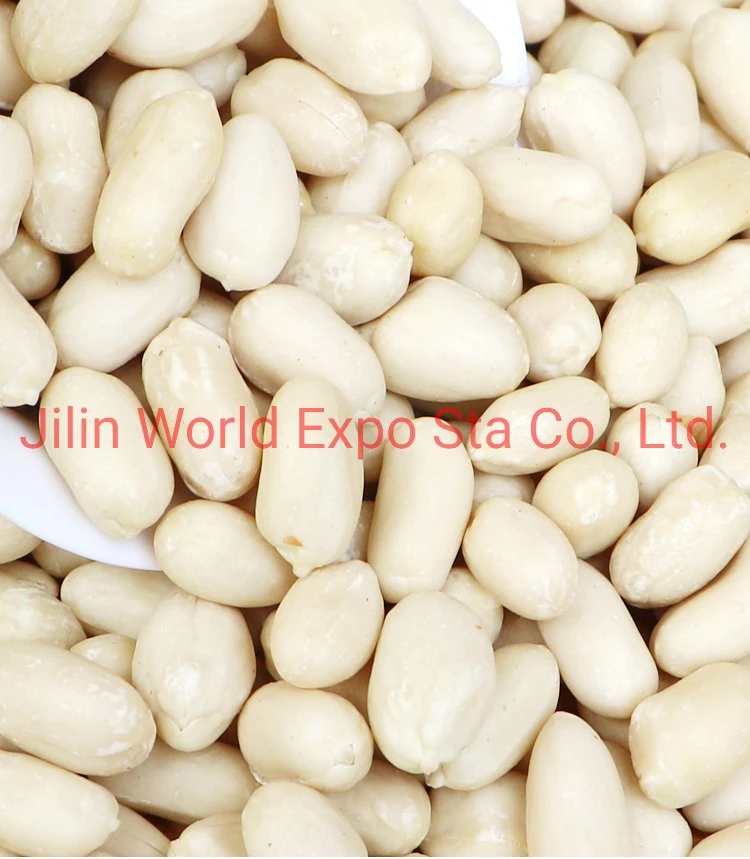 China Raw Blanched Peanut Kernels 36/41 for Food