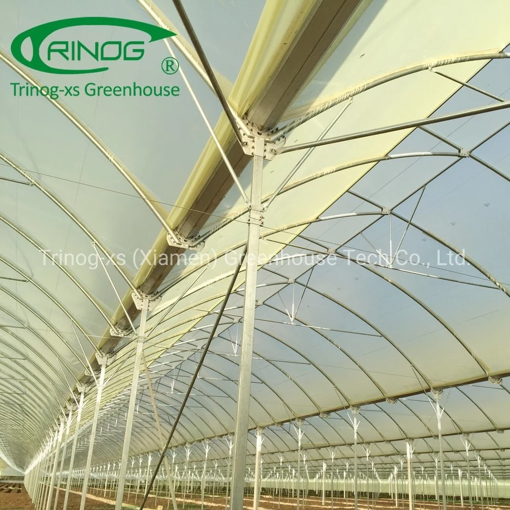 Trinog greenhouse offered agriculture film rose greenhouse with farm house