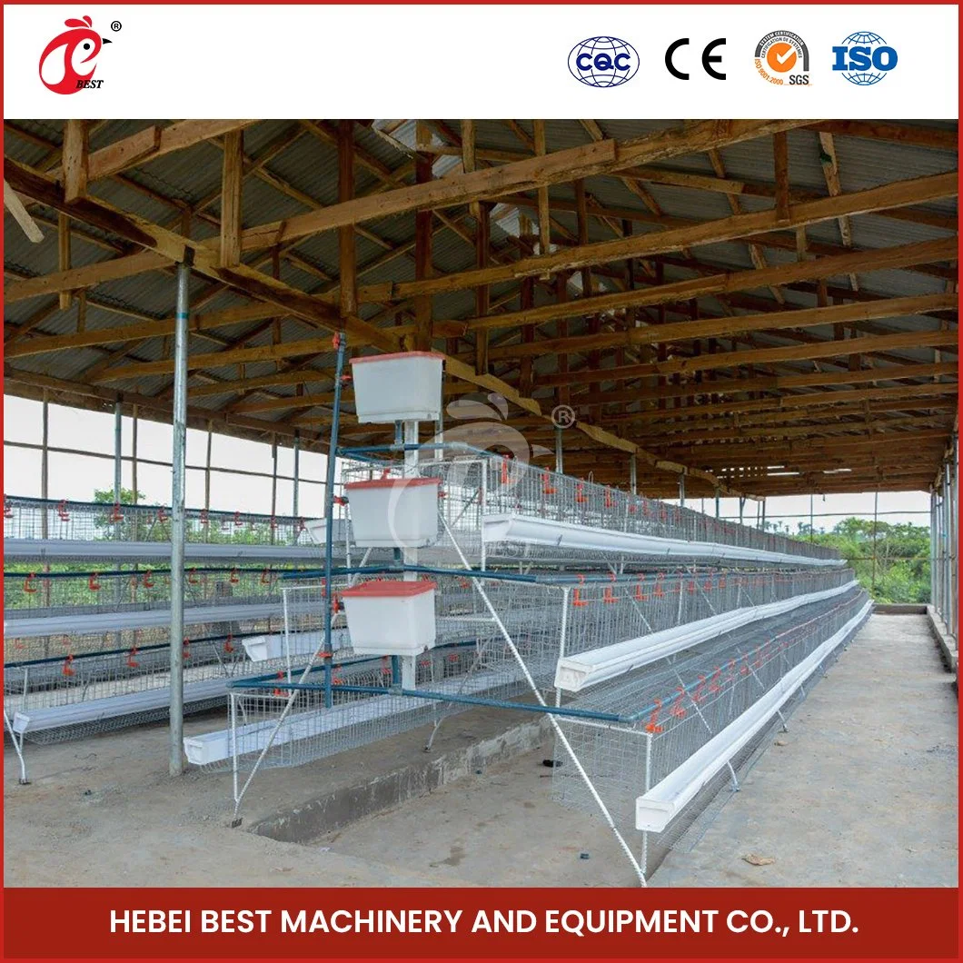 Bestchickencage a Type Layer Cage China Layer Coop Layer Cage Factory OEM Custom Chicken Cages Egg Layer 2000 Configuration Solar Panel Chicken Coop Heater