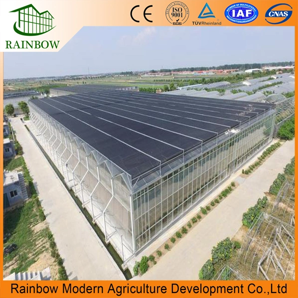 Venlo Roof Multi Span Polycarbonate Greenhouse