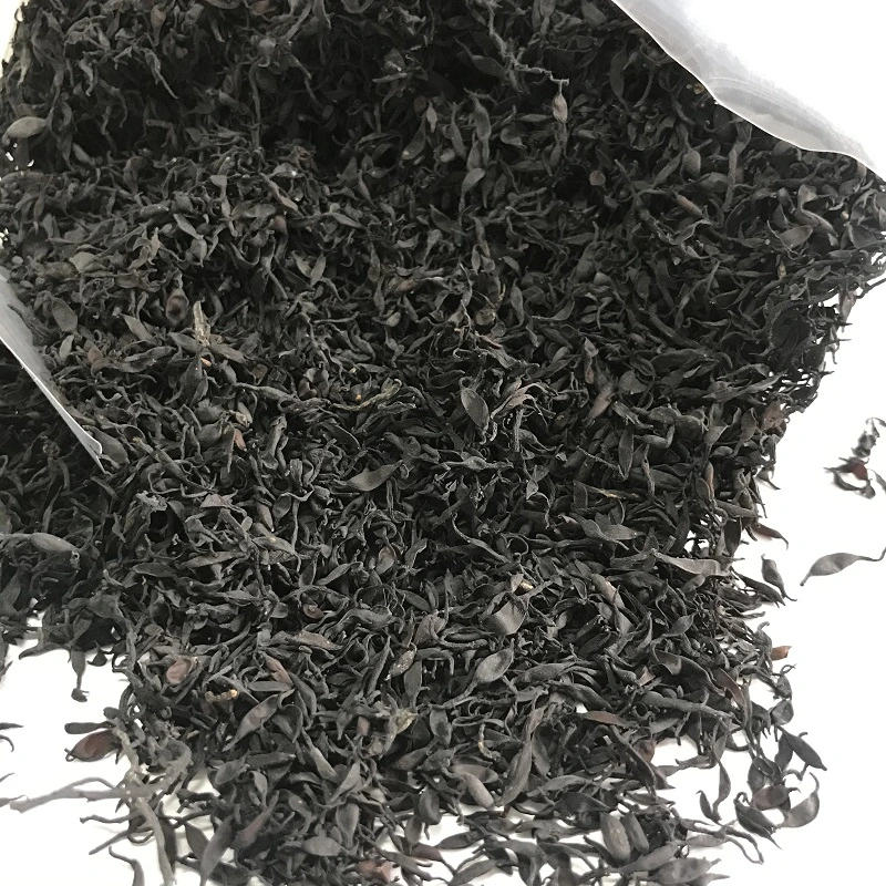 N08 yang qi Cai un grado chino Natural de algas Sargassum Fusiforme Hijiki secos