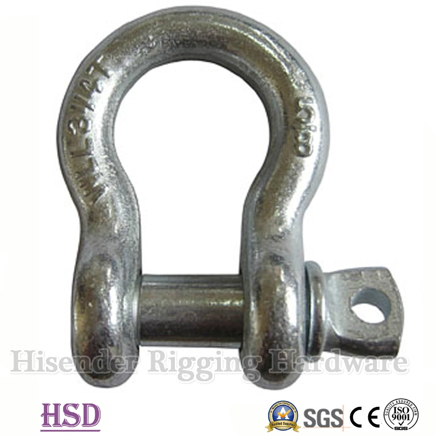 Home Hardware Stainless Steel304/316 Bow Shackle of Fastener