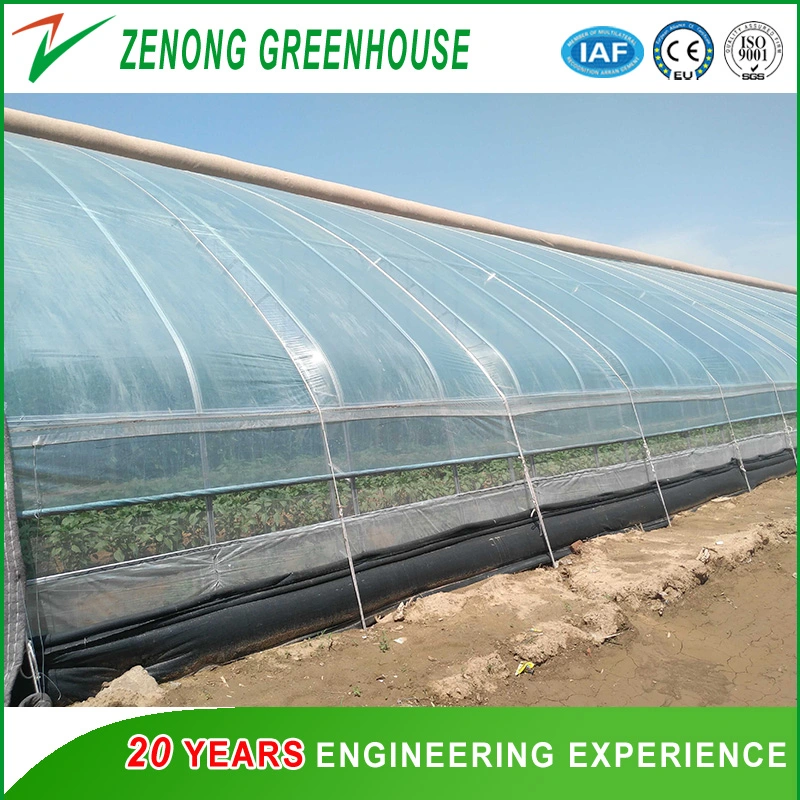 Prefabricated Low Cost Plastic Film Covered Sunlight Greenhouse for Tomato/Cucumber/Egg Plant