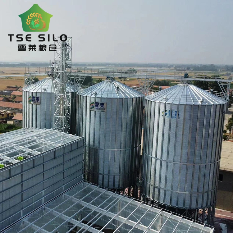 Novos produtos Pacote completo multifuncional Design profissional Silo de alimentação de fibra de vidro Silo de alimentação de 10 toneladas.