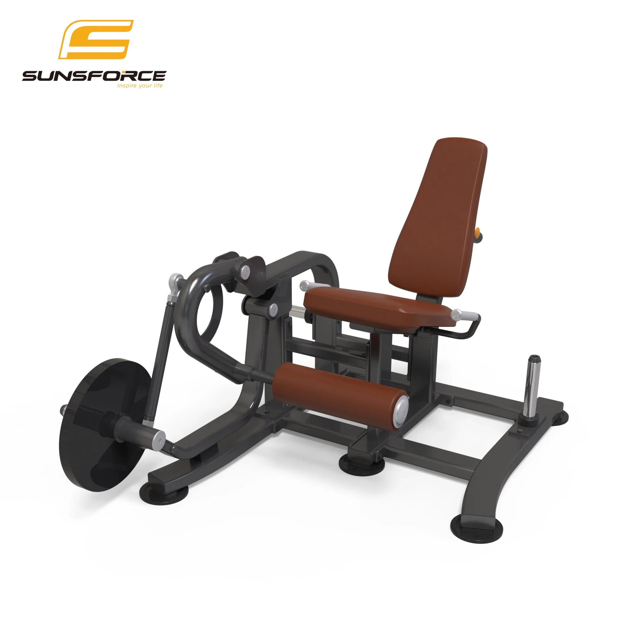 Leg Extension Indoor Sport Equipment Free Weight