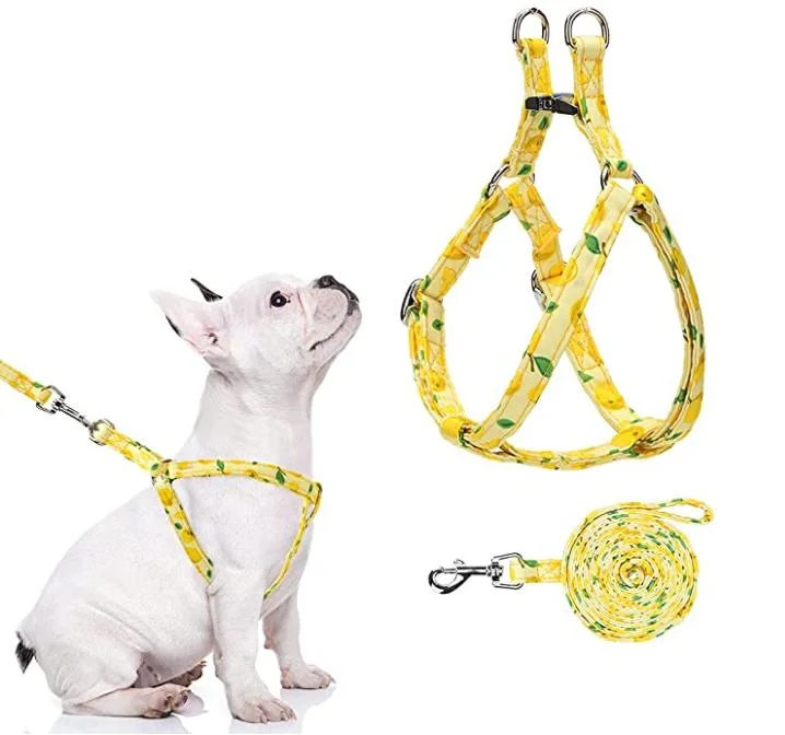 La alta calidad fácil de llevar mascota Ropa de verano 3 en 1 cables perro