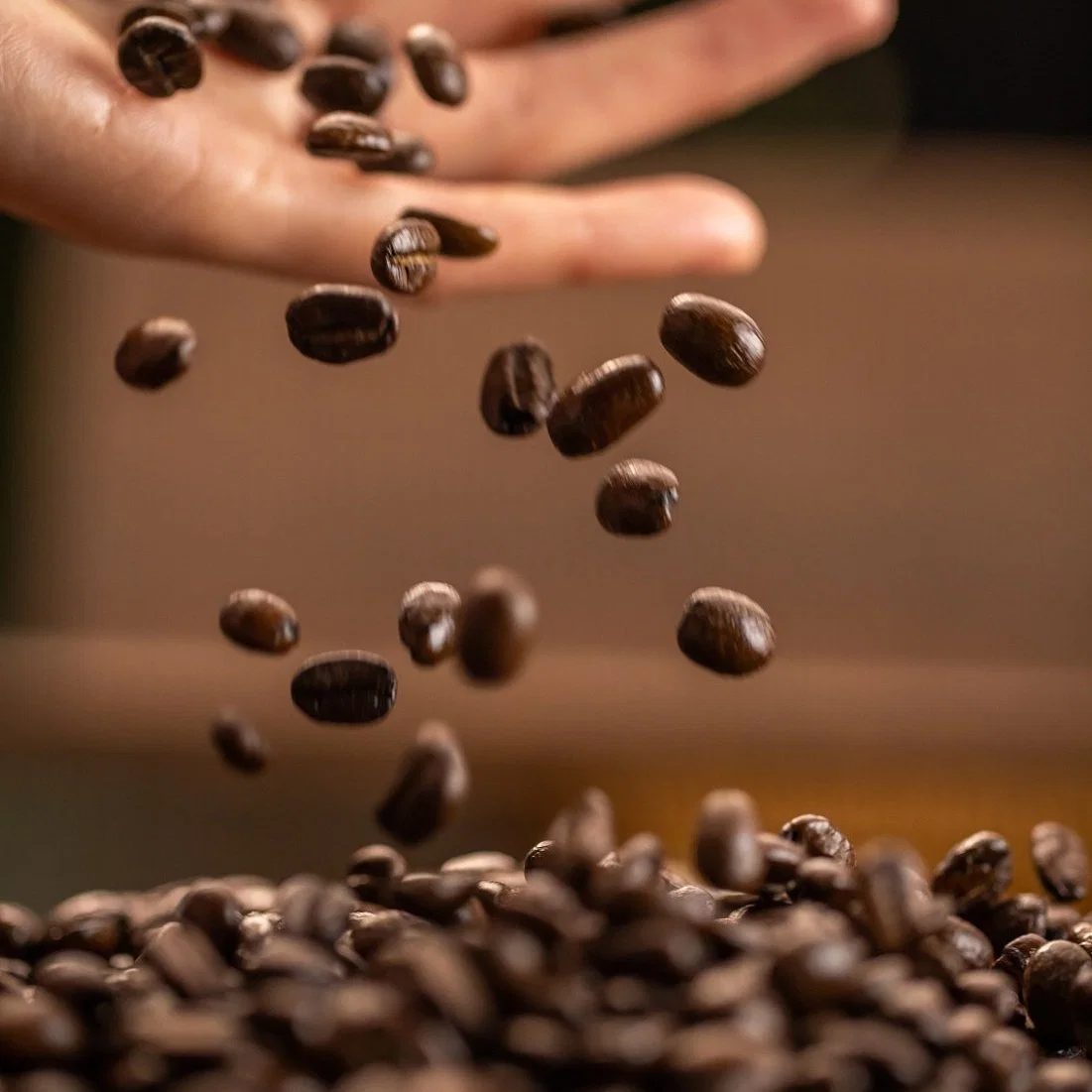Weiße Niere Bohne Slimming Black Coffee Powder Weight Loss Fat Brenner Gewicht Verlieren Kaffee