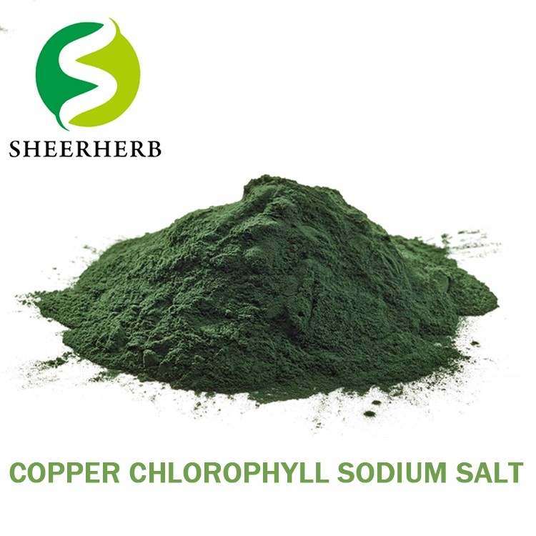 Chlorophyllin Chlorophyll 95% 100% Sodium Copper Chlorophyllin Sodium Magnesium