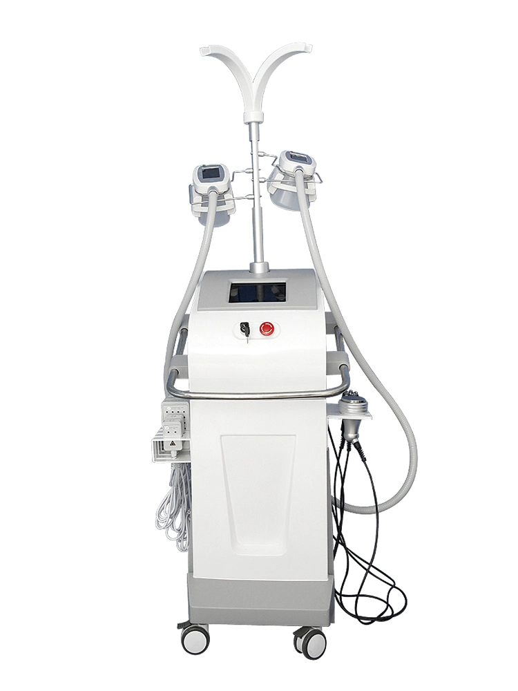 Fat Freezing Laser Lipolaser RF Body Shaping Cryolipolysis Cryotherapy Beauty Machine